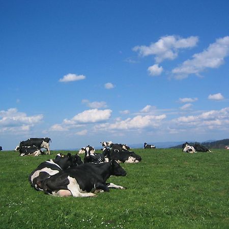 Hof Laesser Möggers Buitenkant foto