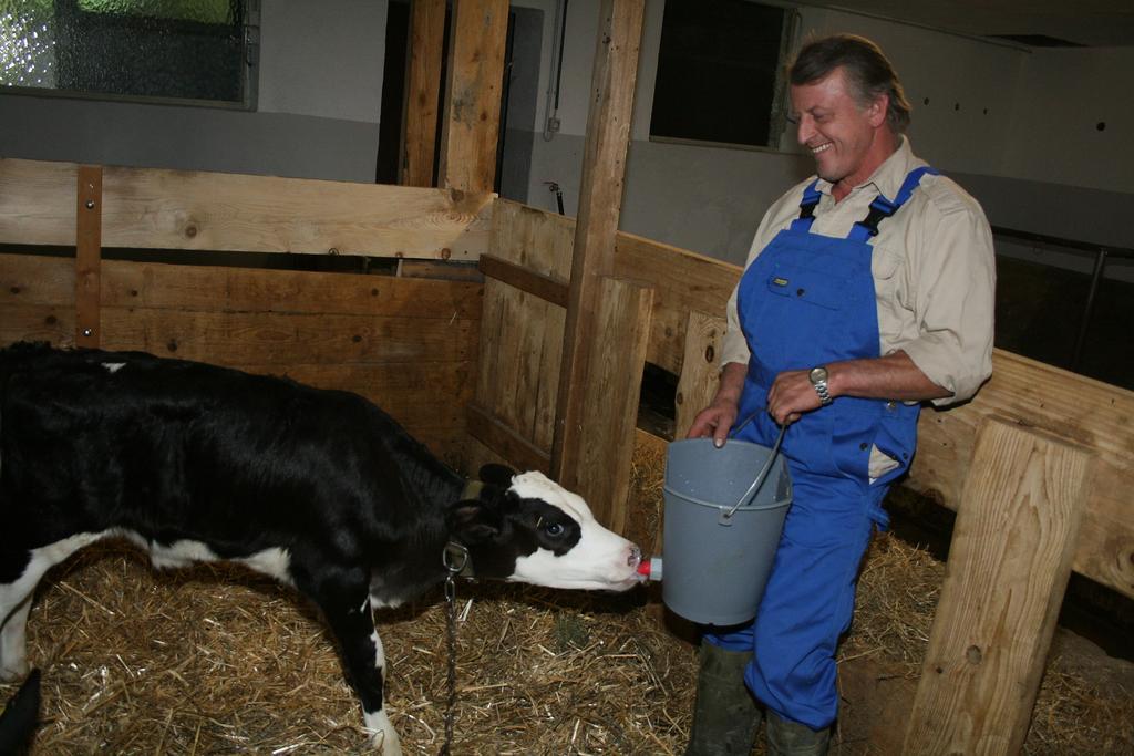 Hof Laesser Möggers Buitenkant foto